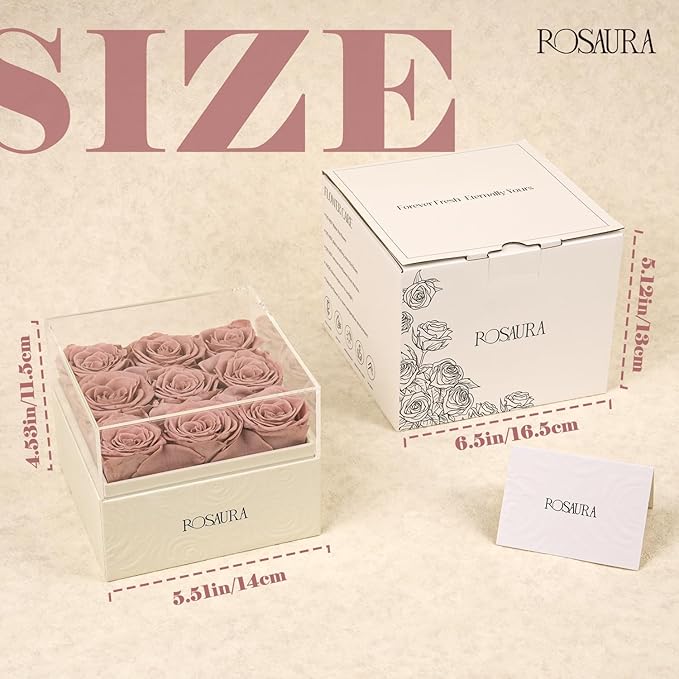Rosaura Square Preserved Roses Gift Box - Real Forever Flowers in Clear Acrylic Lid, Valentine's for Women (Cappuccino, 9 Roses)