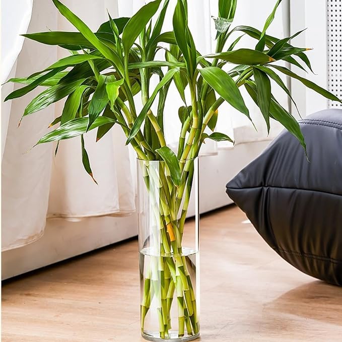Clear Acrylic Flower Vase, Modern Unbreakable Decorative Cylinder Vase for Wedding Bouquets, Centerpieces, and Home Decor - 10cm Diameter, 30cm Height