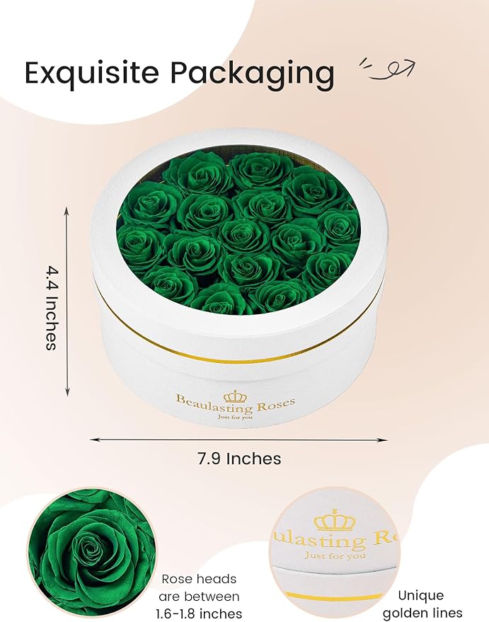 Preserved Roses Forever Flowers Real Roses in a Box Mother's Day Birthday Flowers for Her Mom Women Wife Valentine's Day, 16 Green Roses