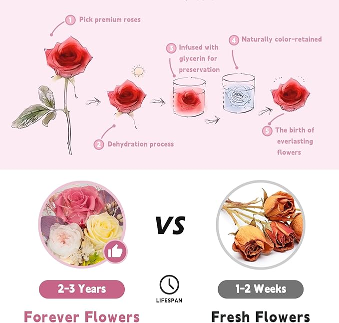 Eternal Flowers for Decoration: Preserved Flowers in Glass Dome, Unique Forever Flower Gift for Her BBF – Perfect flower arrangement for Home Décor - Flowers for Delivery Prime (Red)