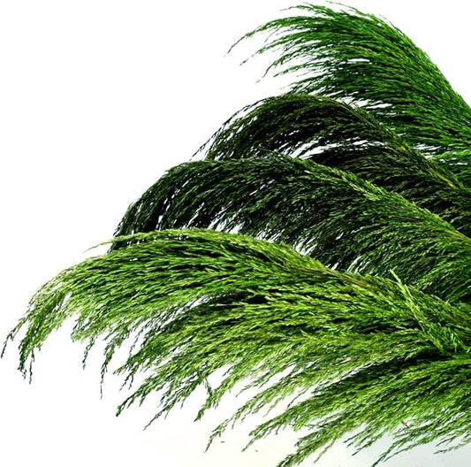 Pampas Grass Decor Tall,Long Pampas, Large Pompas Floral, Elegant Feather Flowers for Wedding Decorations, Living Room Decor (Natural Green, 4pcs 43.3"(110cm))