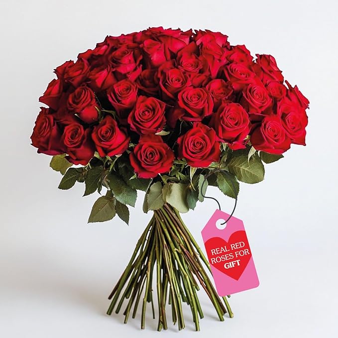 GlobalRose Fresh Cut Red Roses - 50 (2 Bundles of 25) - Real Fresh Flowers Bouquet for Mother's Day, Birthday, Anniversary, Bridal Shower, or Home Decor - Flowers Delivery Gift