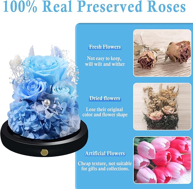 FIACO Preserved Flowers Rose Gifts for Women, Birthday Gifts Eternal Rose in Glass Dome Long-Lasting Real Forever Flowers Gifts for Mom Grandma Wife Girlfriend