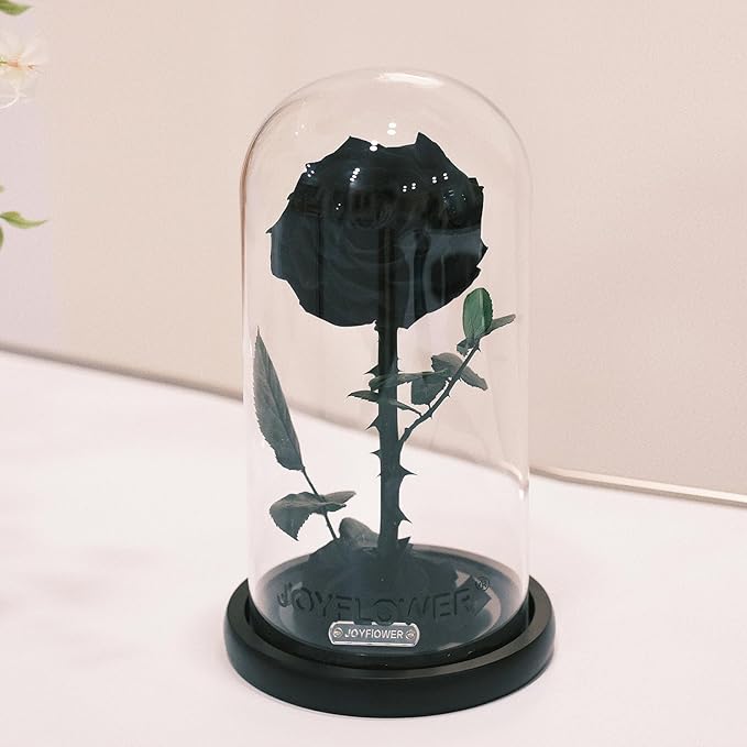 JoyFlower Single Rose Real Rose Flower Gifts for Mom from Daughter Son, Birthday Gifts for Women, Eternal Rose Preserved Flowers for Delivery Prime for Christmas Valentine's Mothers Day(Black)
