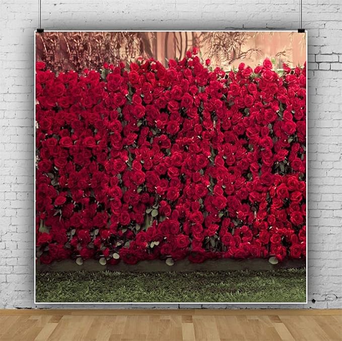 AOFOTO 6x6ft Rose Garden Backdrop Photography Background Romance Red Roses Flowers Park Wall Blurry Grass Floors Kids Toddler Girl Portrait Photo Shoot Studio Props Wedding Ceremony Video Drape Vinyl