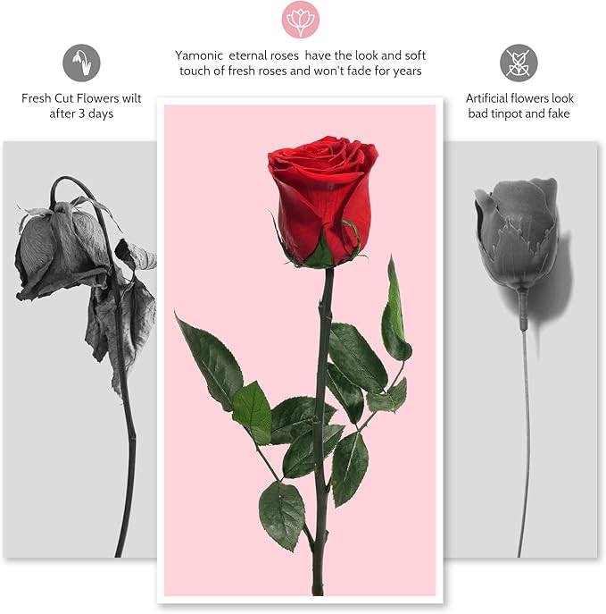 Yamonic Preserved Flowers Rose Gifts for Women Mom, Mothers Day Rose Flower Gifts for Mom, Forever Real Flowers Birthday Mom Gifts for Her, Grandma, Girlfriend, Wife Gifts for Anniversary (Red)