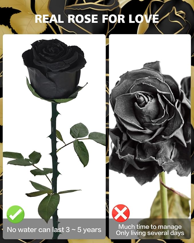 Black Preserved Flowers Gifts for Women: Roses for Birthday Wedding Gift for Girlfriend Wife Grandma Mom