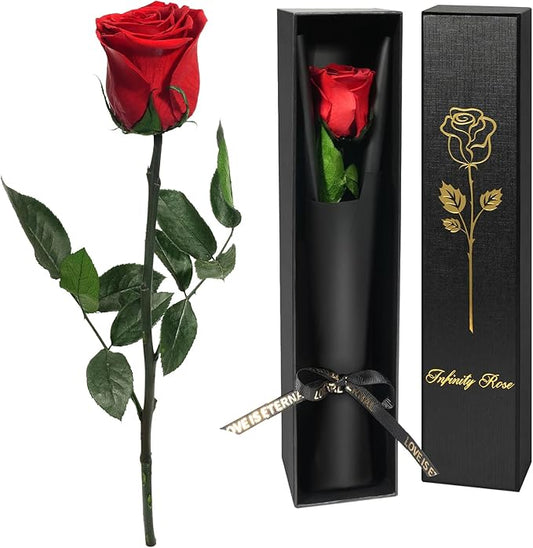 Yamonic Preserved Flowers Rose Gifts for Women Mom, Mothers Day Rose Flower Gifts for Mom, Forever Real Flowers Birthday Mom Gifts for Her, Grandma, Girlfriend, Wife Gifts for Anniversary (Red)