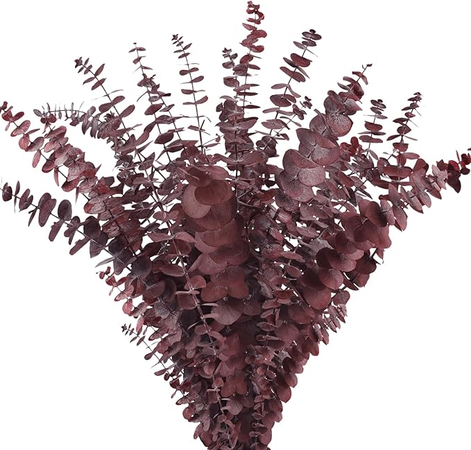 Real Dried Eucalyptus Stems, 20Pcs 17inch Red Preserved Fresh Eucalyptus Stems Plant for Home Vase Wedding Festival Floral Arrangement Fall Decoration
