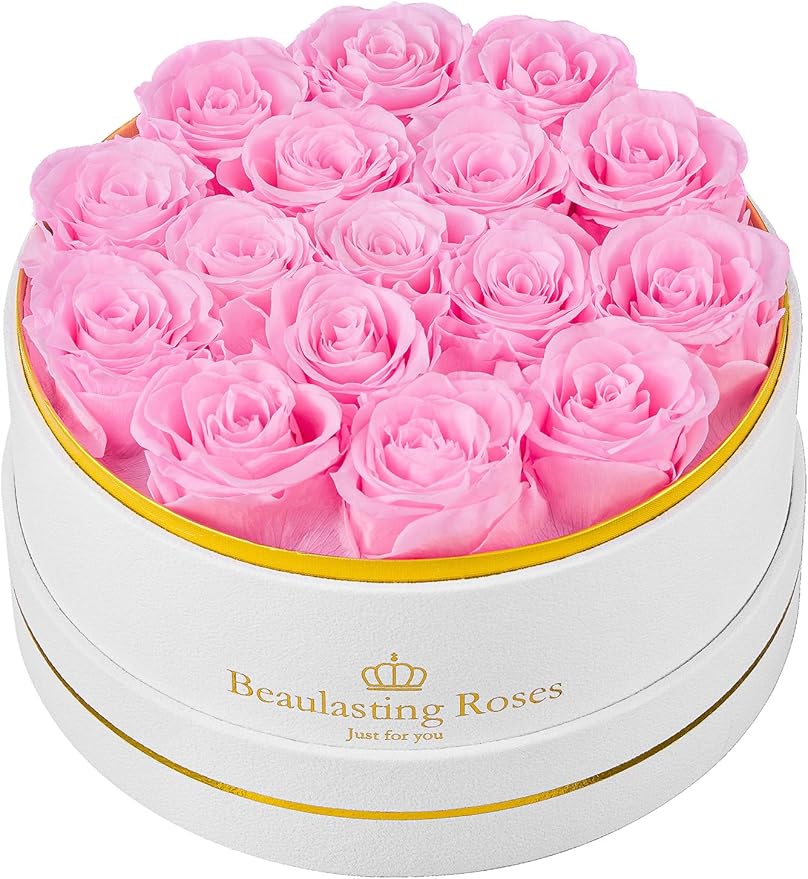 Preserved Roses Forever Flowers Real Roses in a Box Mother's Day Birthday Flowers for Her Mom Women Wife Valentine's Day, 16 Light Pink Roses