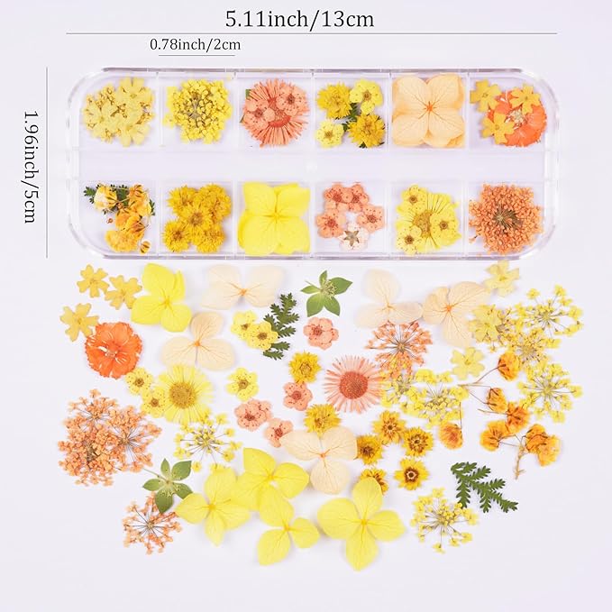 60Pcs Small Dried Pressed Flowers for Crafts,Xinxinran Mini Dry Flower Kit for Nail Art,Epoxy Resin Accessories,Bookmark,Nails, Jewelry Making,Candle,Soap,Resin Molds(1 Boxs)