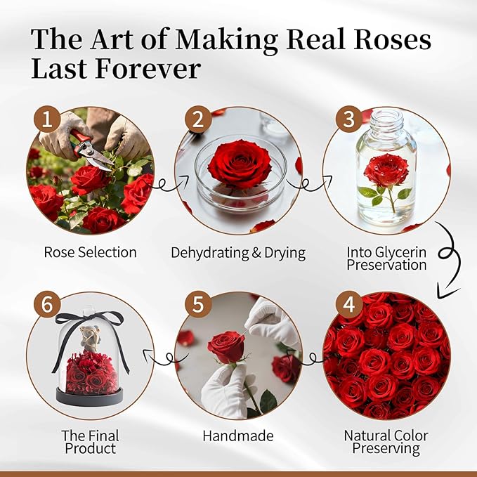 SEEROSE Preserved Rose with Cupid Bear in Glass Dome, Eternal Real Rose Romantic Gift for Her, Women, Mom, Wife, Girlfriend, Valentine’s Day, Mother’s Day, Christmas, Birthday (Cupid Bear, Red)