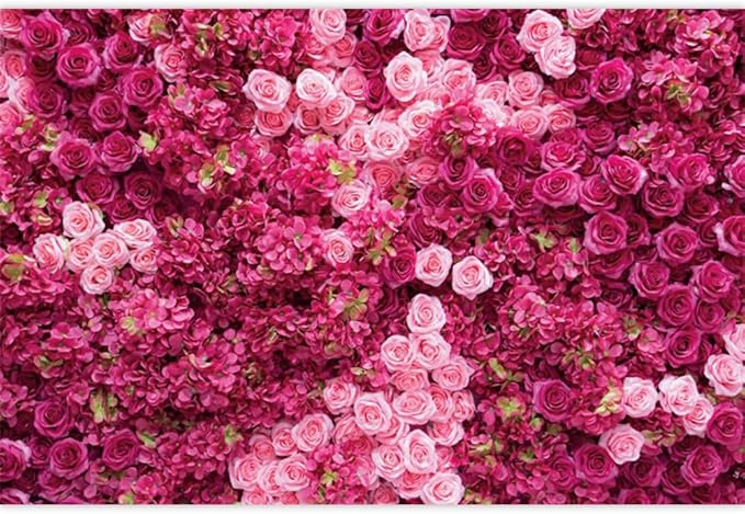 Hot Pink Red Rose Flower Backdrop Flower Wall Backdrop for Girls Woman Birthday Wedding Anniversary Bridal Shower Party Decorations Photo Booth Studio Props Vinyl 12x6ft