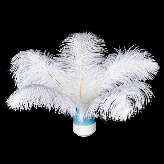Piokio 20 pcs Natural White Natural Ostrich Feathers Plumes 8-10 inch(20-25 cm) Bulk for DIY Clothes, Feather Pens, Dream Catcher, Gatsby Decorations
