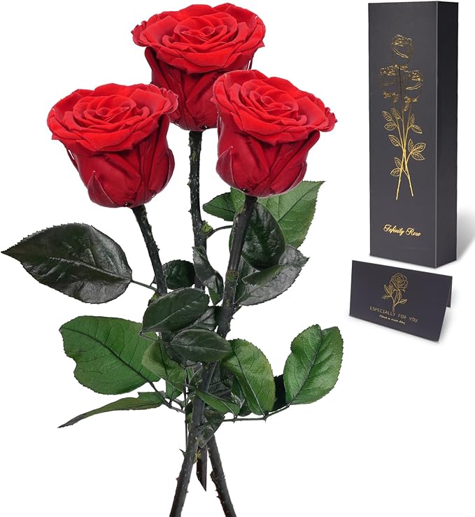 Yamonic Preserved Flowers Rose Gifts for Mom Grandma, Mom Birthday Gifts for Women, Mothers Day Real Flower Rose Gifts for Moms,Her,Wife,Girlfriend on Christmas,Valentine's Day,Anniversary, Home Decor