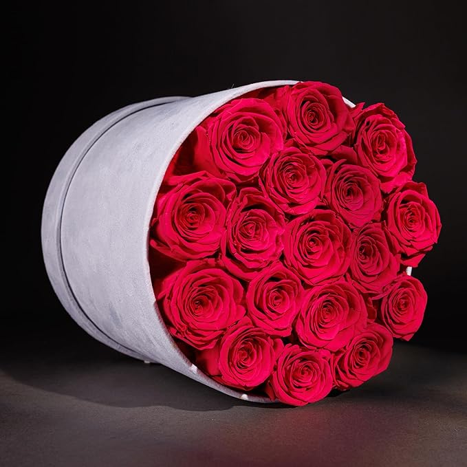 17 Flowers in a Luxury Suede Box, Birthday Gifts for Women, Preserved Flowers, Mothers Day Roses Gift for Mom, Hot Pink