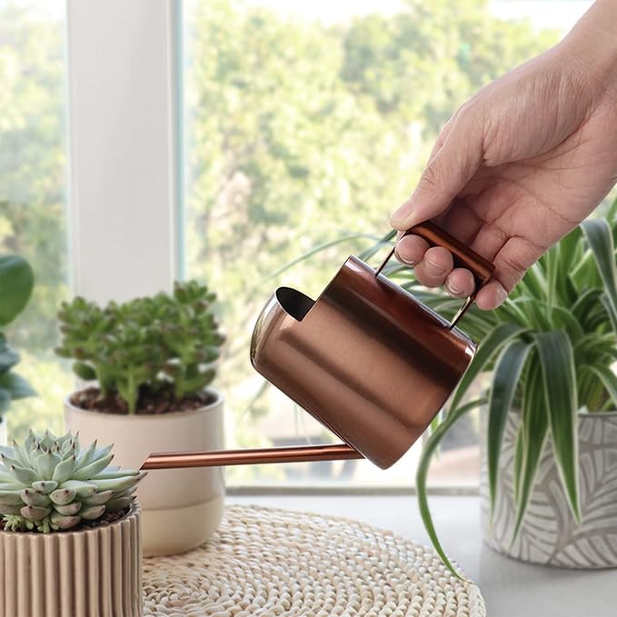 Watering Cans, 10oz/300ml Stainless Steel Long Spout Small Watering Sprinkling Pot, Indoor Outdoor Garden Flower Succulents Plant Watering Cans, Stylish Gardening Decoration(Bronze)