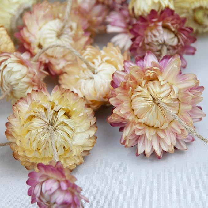 Dried Flowers Garland Pink Real Daisy Sunflower Garlands 10.5ft 63 Pcs Natural Dried Daisy Flowers Heads Gerbera Daisies Dry Flower Arrangements for Wedding Boho Decor Home Party Wall Hanging