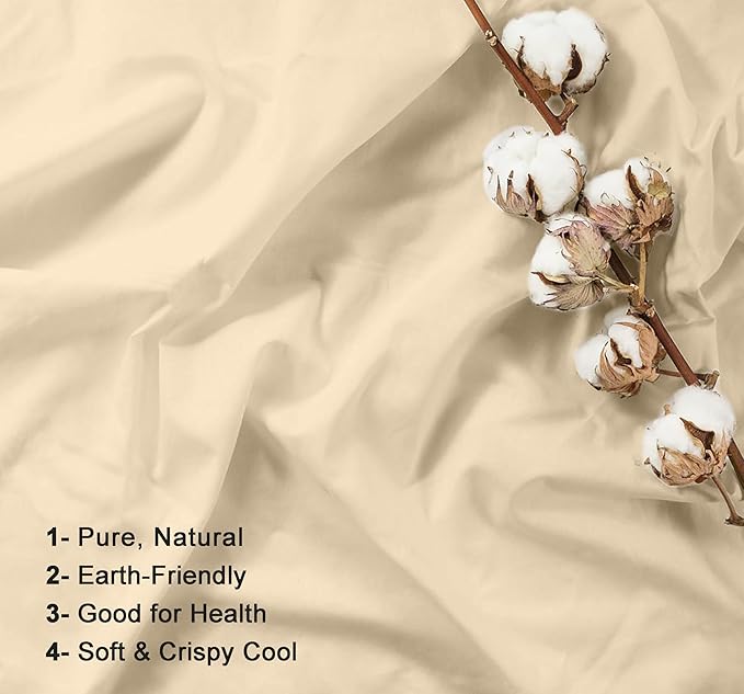 RUVANTI 100% Cotton Sheets Queen Size Set, 4 Pieces, Soft & Breathable Percale Weave Bedding, Deep Pocket 16", Hotel Standard, Crisp Cool Feeling, Durable, Perfect Dyed Bed Sheet, Beige
