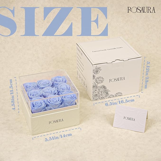 Rosaura Square Preserved Roses Gift Box - Real Forever Flowers in Clear Acrylic Lid, Valentine's for Women (Sky Blue, 9 Roses)