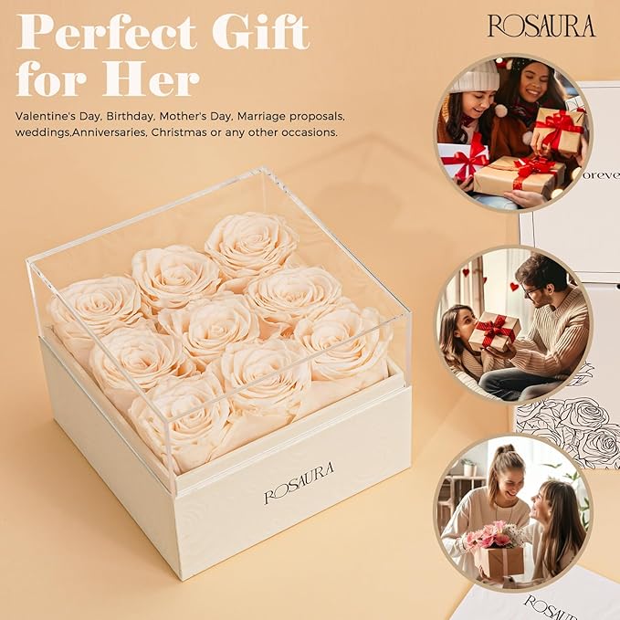 Rosaura Square Preserved Roses Gift Box - Real Forever Flowers in Clear Acrylic Lid, Valentine's for Women (Champagne, 9 Roses)