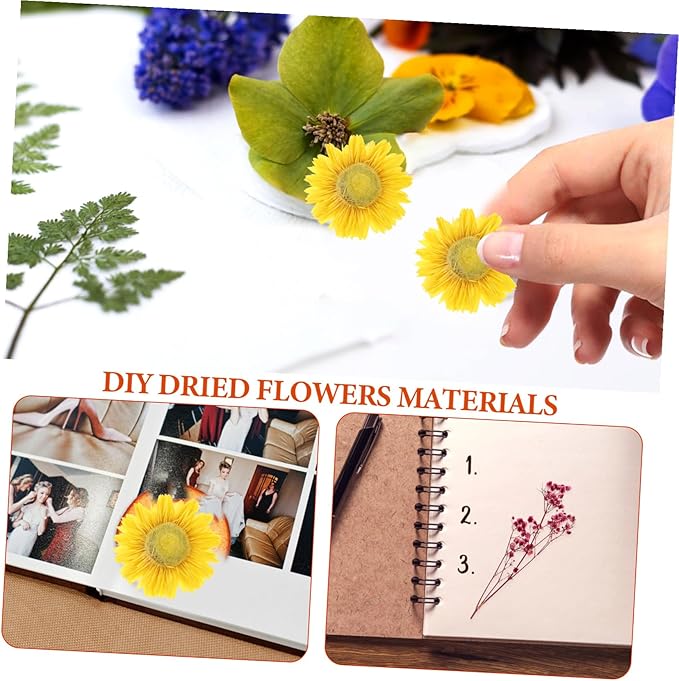 Natural Dried Flowers Material Bag for DIY Crafts Pressed Floral Bouquet Making Kit Romantic Handcraft Supplies for Greeting Cards Home Decoration and Wedding Embellishments