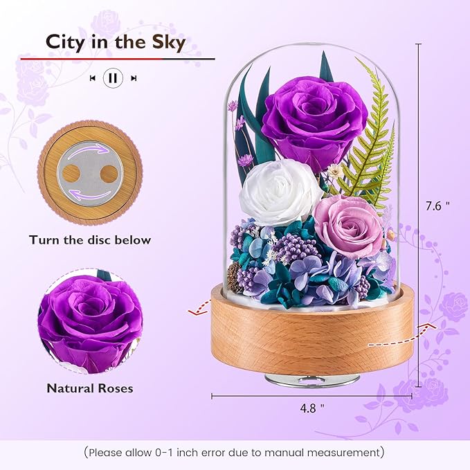 Eterfield Flowers for Delivery Prime, Christmas Preserved Roses Gifts for Women - Forever Flower in Glass Dome Birthday Gifts for Mom Wife Grandma Her Valentine’s Day (Purple, Cylindrical)