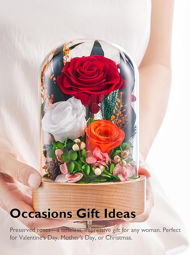 Eterfield Flowers for Delivery Prime, Christmas Preserved Roses Gifts for Women - Forever Flower in Glass Dome Birthday Gifts for Mom Wife Grandma Her Valentine’s Day (Red, Cylindrical)