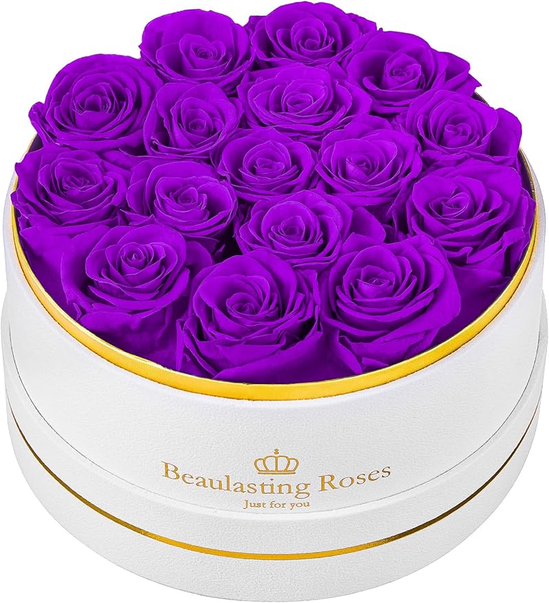Preserved Roses Forever Flowers Real Roses in a Box Mother's Day Birthday Flowers for Her Mom Women Wife Valentine's Day, 16 Purple Roses