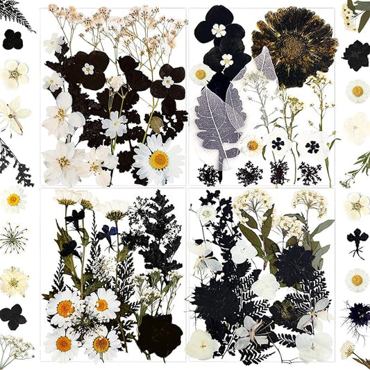 84Pcs Black Dried Pressed Flowers for Resin Molds, Bulk Real Natural Dry Floral for DIY Art Crafts, Epoxy Jewelry, Candle, Soap Making, Nails Decor, Phone Case