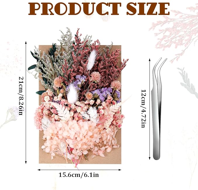 Real Dried Flowers, Natural Dry Flowers Mixed Natural Pressed Flowers Flores Secas Dried Florals for Crafts,Resin,Candle Making (Multicolor 2)