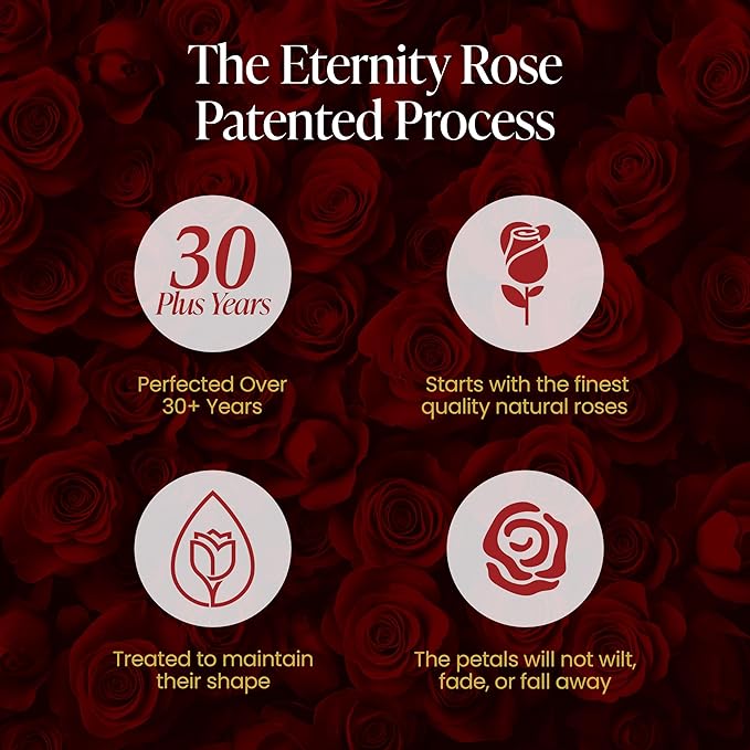 The Eternity Rose 9-Piece Preserved Roses in a Luxury Gift Box – Real Roses in Square Black Box – A Valentine’s Gift as Everlasting as Your Love