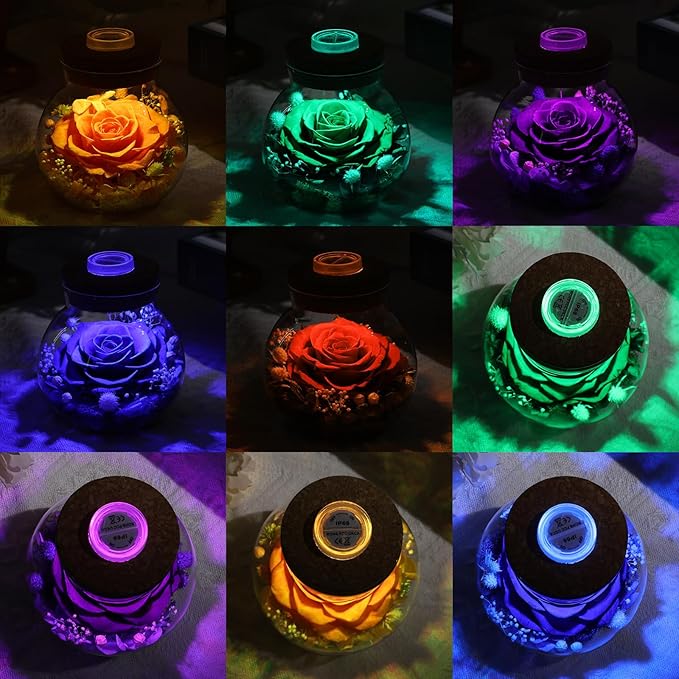 Christmas Birthday Gifts for Women Mom Preserved Purple Rose Eternal Forever Flower in Glass Wishing Bottle with LED Light Flowers for Delivery Prime for Grandma Wife Sister Friend from Daughter