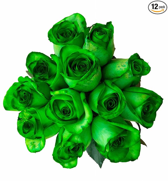 12 Stems - Fresh Cut Tinted Green Roses from Flower Explosion