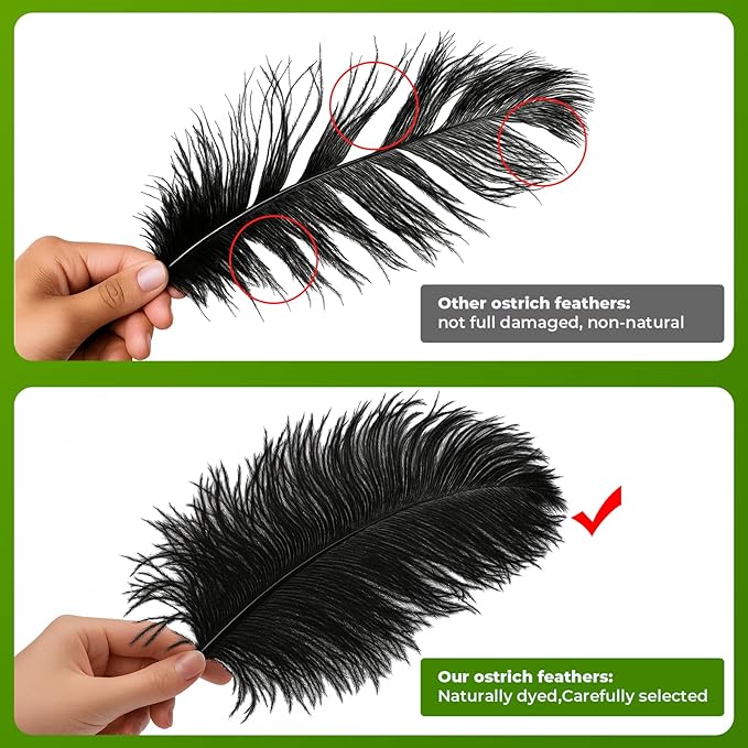 Piokio 20pcs Natural Black Ostrich Feathers 10-12 inch (25-30cm) Bulk Feathers for Home Decoration and DIY Clothes Decoration, Gatsby Decorations