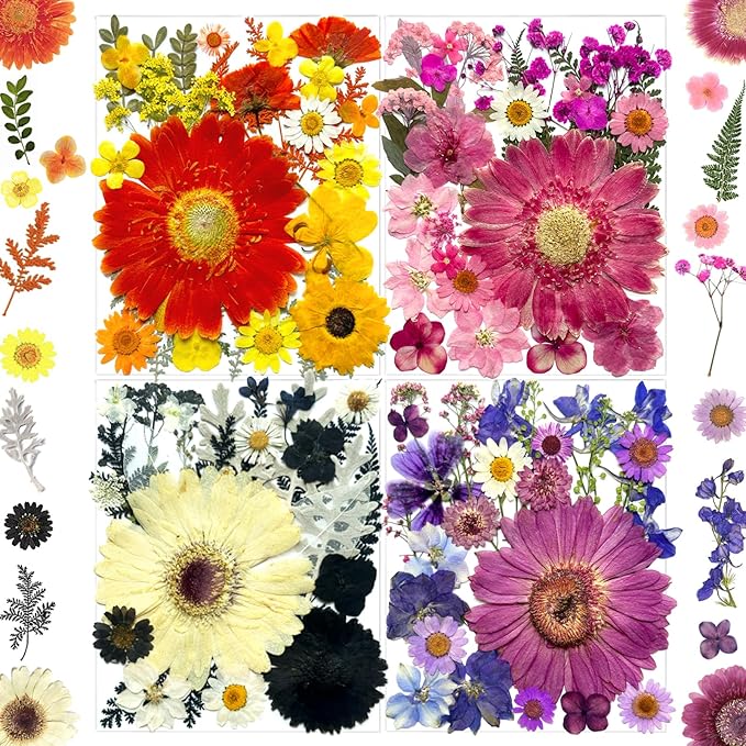 106Pcs Big Dried Pressed Flowers for Resin, Assorted Real Natural Bulk Dry Floral Leaves for DIY Art Crafts, Epoxy Molds, Jewelry, Soap, Candle Making, Nails Decors