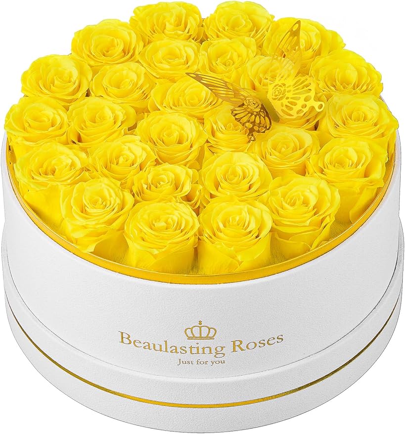 Preserved Roses Forever Flowers Real Roses in a Box Mother's Day Birthday Flowers for Her Mom Women Wife Valentine's Day, 27 Yellow Roses
