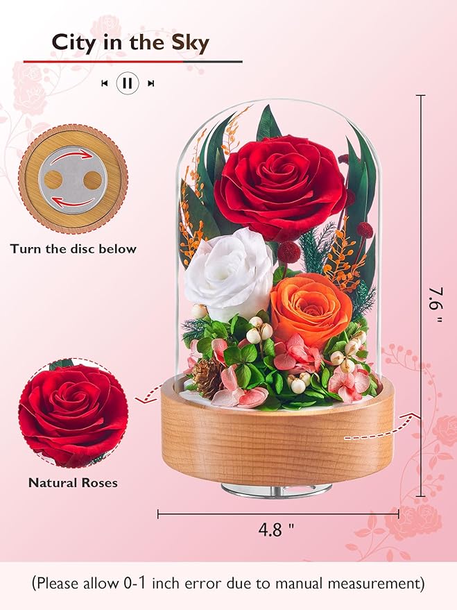 Eterfield Flowers for Delivery Prime, Christmas Preserved Roses Gifts for Women - Forever Flower in Glass Dome Birthday Gifts for Mom Wife Grandma Her Valentine’s Day (Red, Cylindrical)