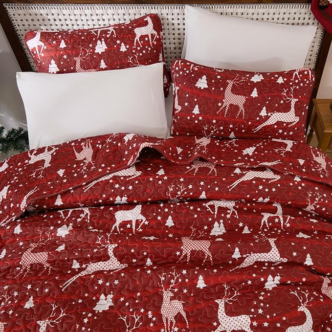 Dinjoy Christmas Quilt Set Queen Size, Christmas Holiday Quilt Bedding Set Xmas New Year Bedspread Soft Microfiber 3 Pieces Coverlet for Kid Adult 90"x90" New Year Gift