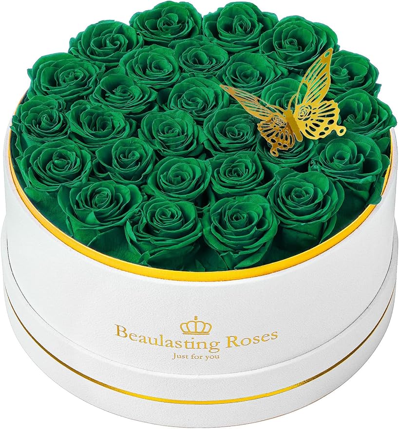 Preserved Roses Forever Flowers Real Roses in a Box Mother's Day Birthday Flowers for Her Mom Women Wife Valentine's Day, Green, 27 Piece
