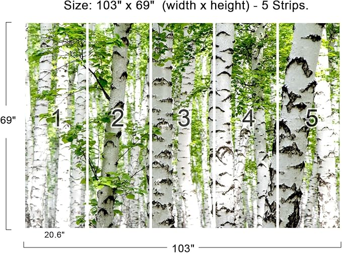 Cliouar-Photo Wallpaper Birch Forest Landscape Trees Poster Nature Lovers Green Forest Bedroom Decoration Mural 103" x 69"(Not Self-Adhesive)