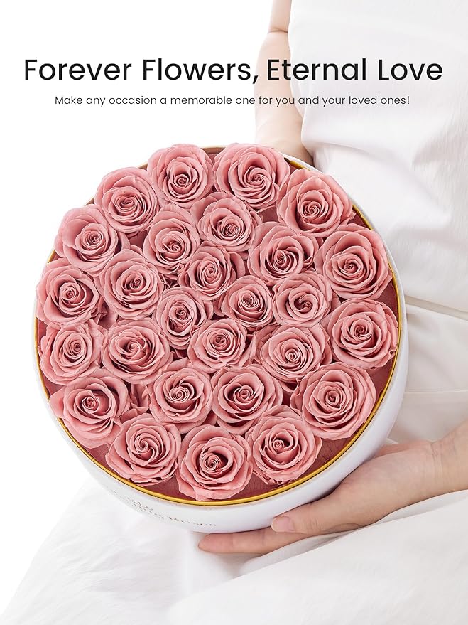 Preserved Roses Forever Flowers Real Roses in a Box Mother's Day Birthday Flowers for Her Mom Women Wife Valentine's Day, 27 Dusty Pink Roses
