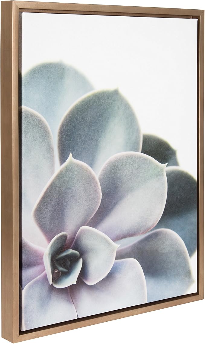 Kate and Laurel Sylvie Succulent Framed Canvas Wall Art by F2 Images, 18x24 Gold