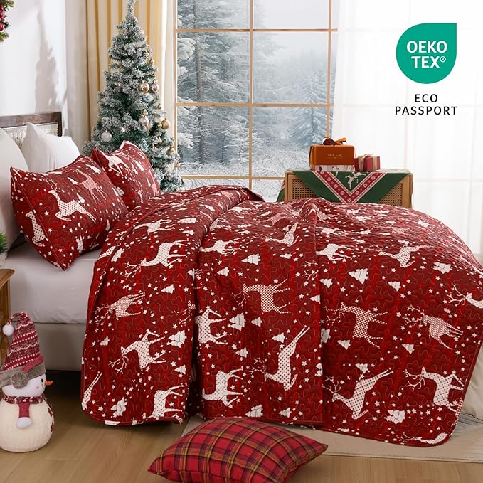 Dinjoy Christmas Quilt Set Queen Size, Christmas Holiday Quilt Bedding Set Xmas New Year Bedspread Soft Microfiber 3 Pieces Coverlet for Kid Adult 90"x90" New Year Gift