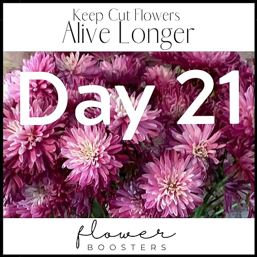 Flower Boosters Cut Flower Food – Biodegradable, Real-Food-Based Formula Safe Around Pets & People, Extends Fresh Flower Vase Life Up to 20 Days (12.5 oz)