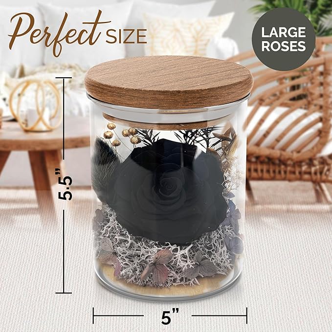 Black Rose Premium Eternal Roses - Real Preserved Rose in Glass Dome - Gothic Style Decor for Funeral Occasions