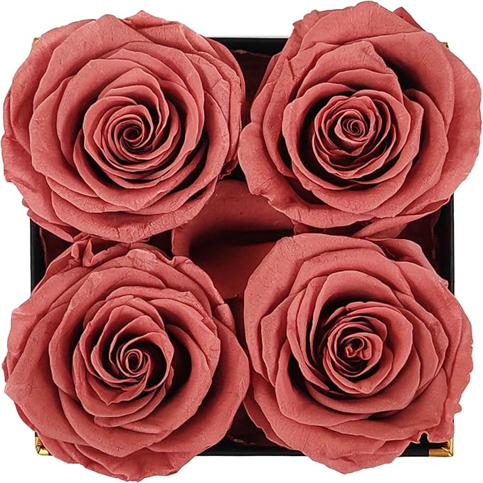 Changshunqi Preserved Roses, Forever Flowers Real Roses in a Box Last 2-3 Years, Forever Preserved Flowers Birthday Gifts for Womem Mom， Rose Forever Gifts for Her,Best Friend, Girlfriend