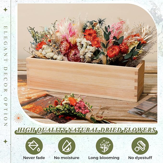 Layhit 12 Pack Boho Dried Flower Bouquet Mini Wedding Handmade Dry Flowers Decor for Vase Crafts DIY Photo Boutonniere for Men Floral Plant for Bridesmaid Gift Birthday Decor(African Daisy)