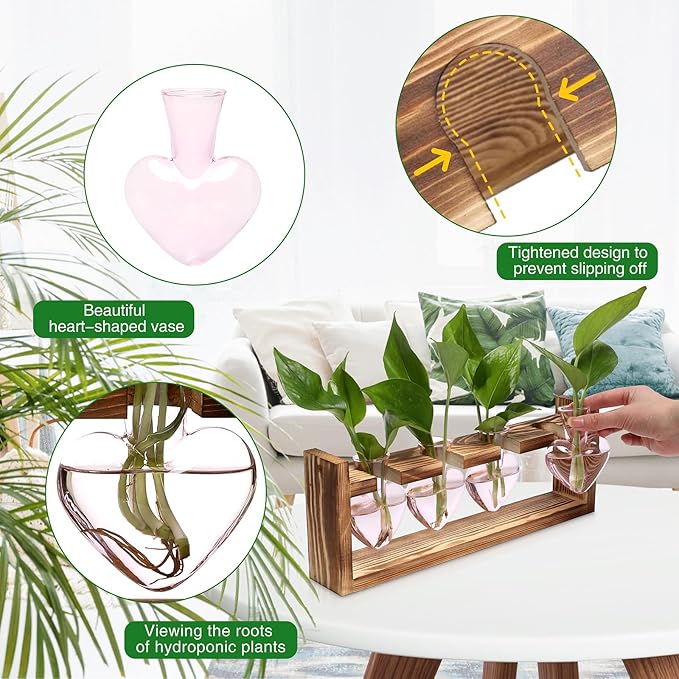 Heart Plant Terrarium Kit Gift for Women Plant Lover Glass Vases