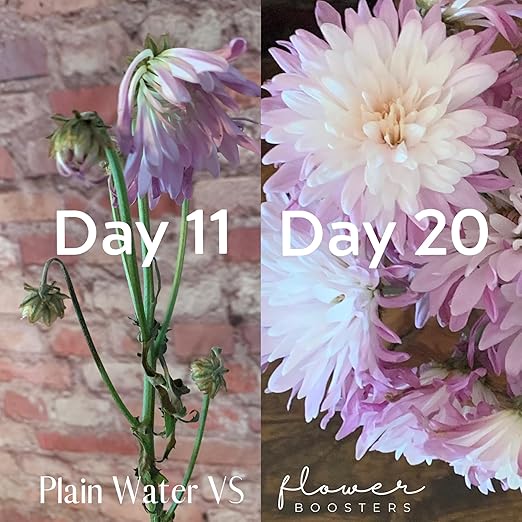 Flower Boosters Cut Flower Food – Biodegradable, Real-Food-Based Formula Safe Around Pets & People, Extends Fresh Flower Vase Life Up to 20 Days (12.5 oz)